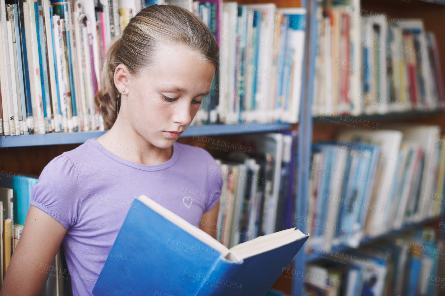 Buy stock photo A cute young girl engrossed in a book in the library