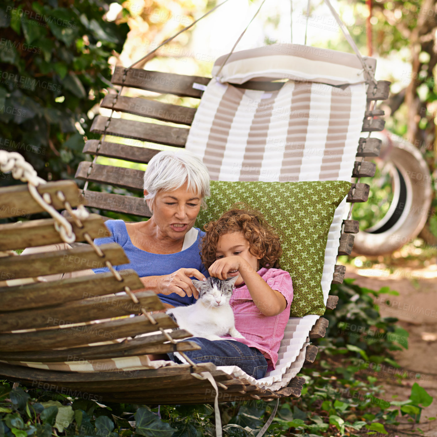 Buy stock photo Backyard, grandmother and boy with cat, relax and sunshine with weekend break and vacation. Family, old woman and grandchild with pet and hammock in a backyard with animal, bonding together in spring
