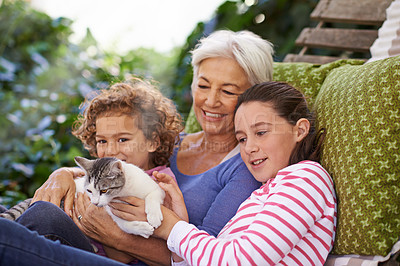 Buy stock photo Backyard, grandmother and kids with cat, relax and holiday with weekend break and vacation. Family, old woman and grandchildren with pet and hammock in a backyard with animal and bonding together