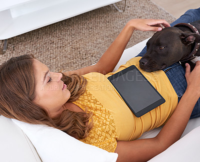 Buy stock photo Shot of a young woman using a digital tablet while lying on a sofa with her dog