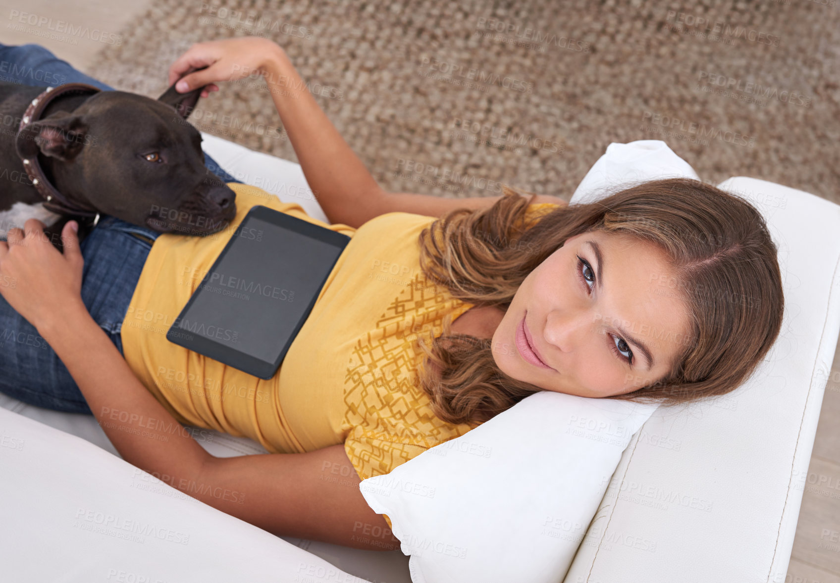 Buy stock photo Portrait of a young woman using a digital tablet while lying on a sofa with her dog