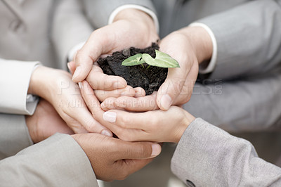 Buy stock photo Business, people and hands with plant at office for eco friendly, carbon footprint and green environment ideas. Closeup, employees and together on synergy with crop for earth day, growth and future