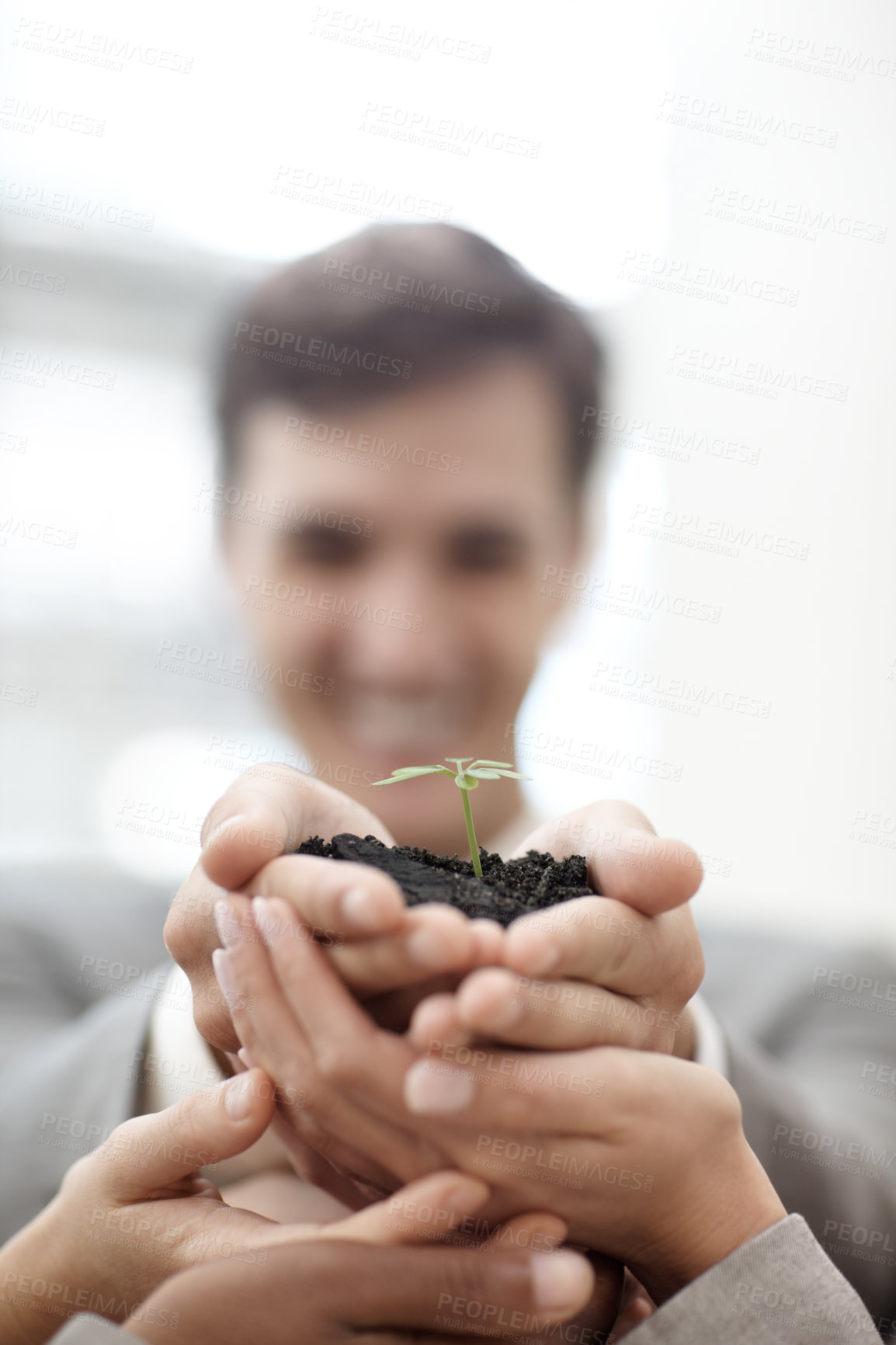 Buy stock photo A group of businesspeople with their hands cupped around a small plant
