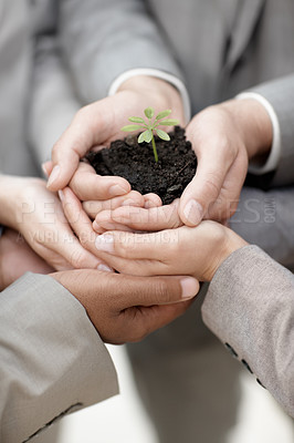 Buy stock photo People, employees and hands with plant at office for eco friendly, carbon footprint and green environment ideas. Closeup, business and together on synergy with crop for earth day, growth and future