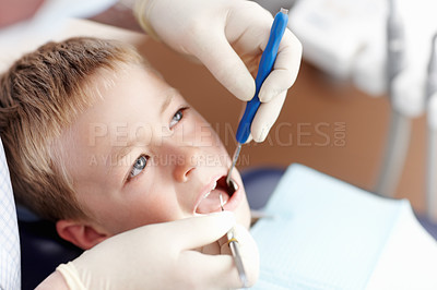 Buy stock photo High angle view of dentist checking up boy's teeth in clinic