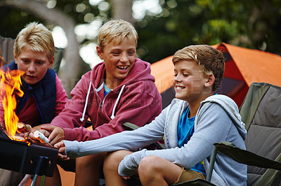Buy stock photo Cropped shot of three young boys sitting by the campfire