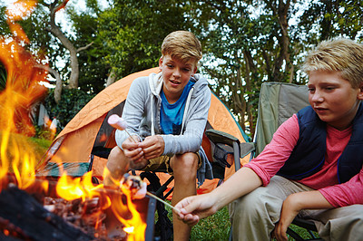 Buy stock photo Cropped shot of two young boys sitting by the campfire