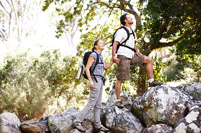 Buy stock photo Two hikers holding hands while gazing upwards at the trees - copyspace