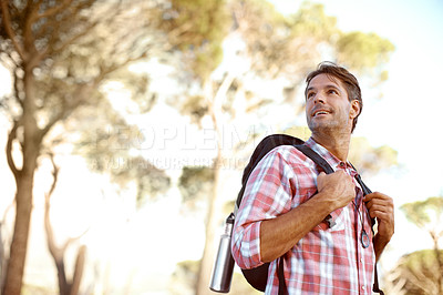 Buy stock photo Hiking, trekking and calm with man in nature for wildlife biologist, field research and ecology. Thinking, travel and adventure with person in forest for environment study, conservation and idea