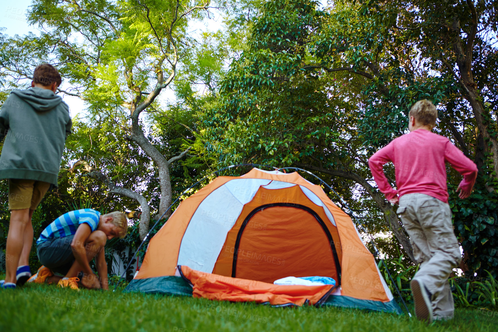 Buy stock photo Shot of three young boys putting up their tent
