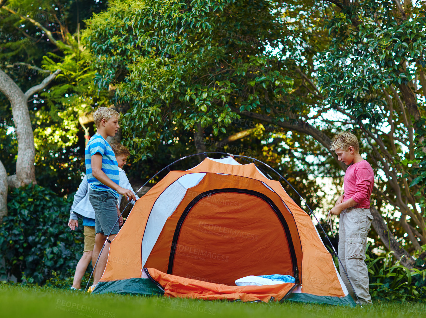 Buy stock photo Shot of three young boys putting up their tent