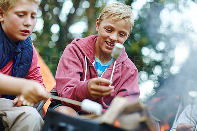 Buy stock photo Cropped shot of two young boys cooking marshmallows over the campfire