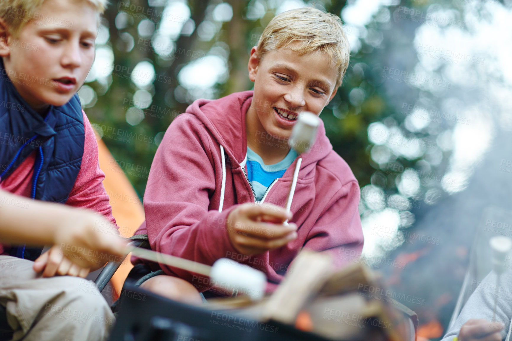 Buy stock photo Cropped shot of two young boys cooking marshmallows over the campfire