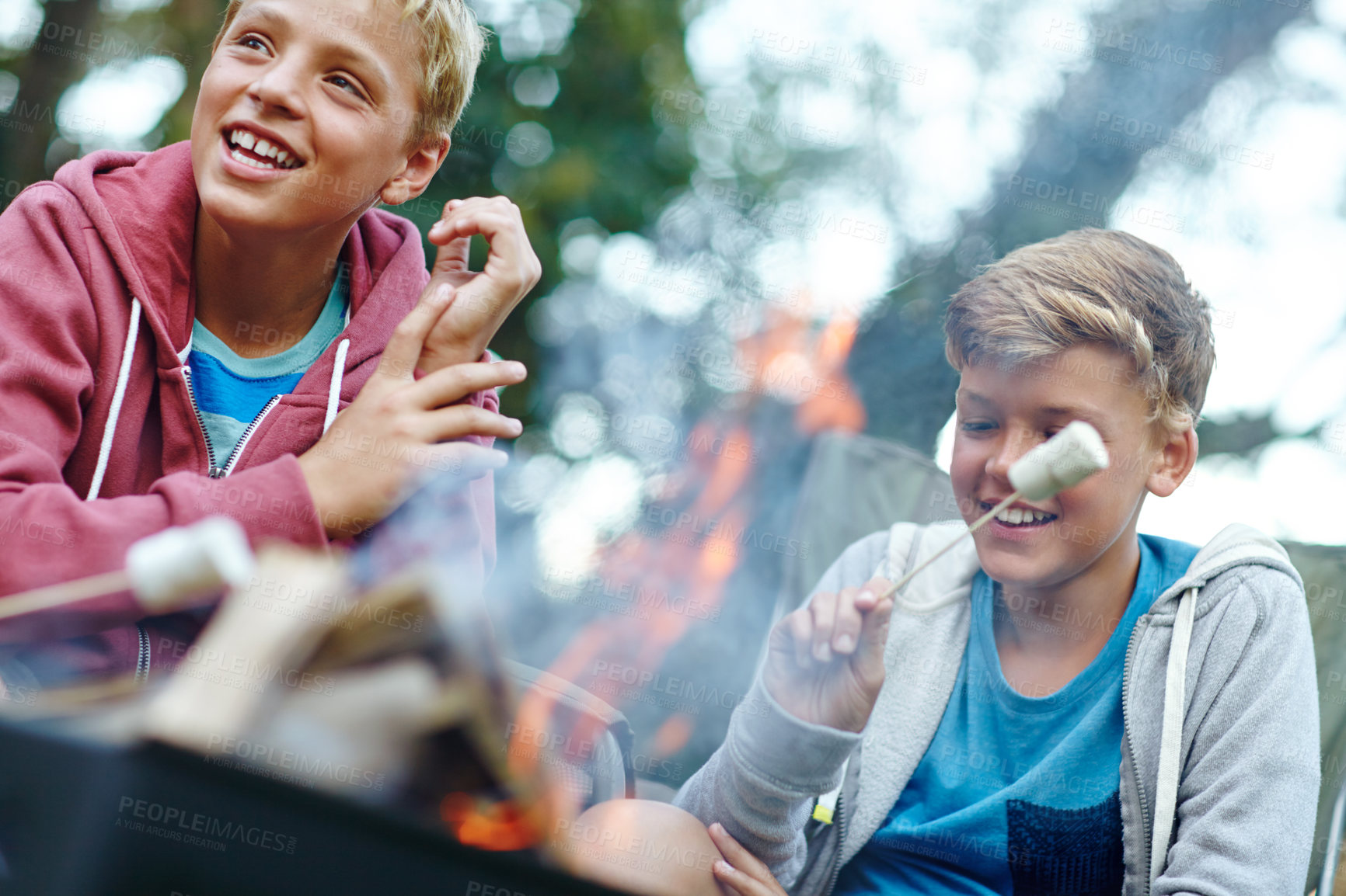 Buy stock photo Cropped shot of two young boys cooking marshmallows over the campfire