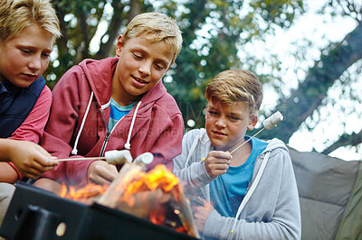 Buy stock photo Cropped shot of three young boys cooking marshmallows over the campfire