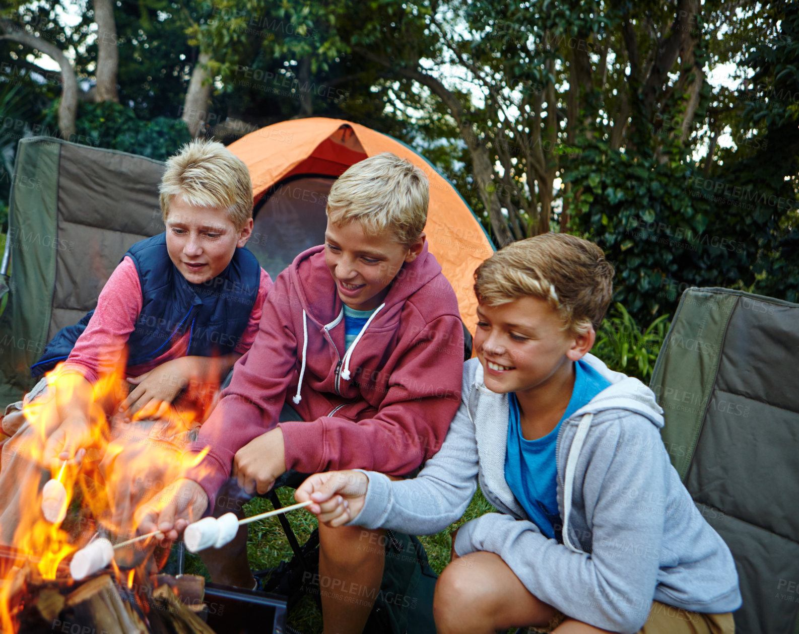 Buy stock photo Cropped shot of three young boys cooking marshmallows over the campfire