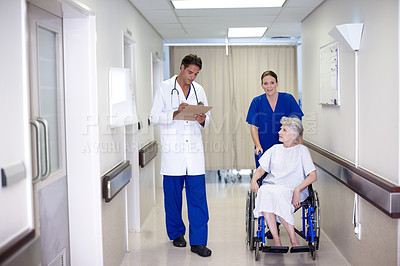 Buy stock photo A female nurse pushing a senior patient in a wheelchair down the hallway while she talks with her doctor