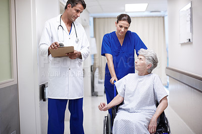 Buy stock photo A female nurse pushing a senior patient in a wheelchair down the hall while she talks with her doctor