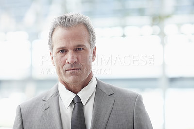 Buy stock photo Portrait of a mature businessman standing in the office