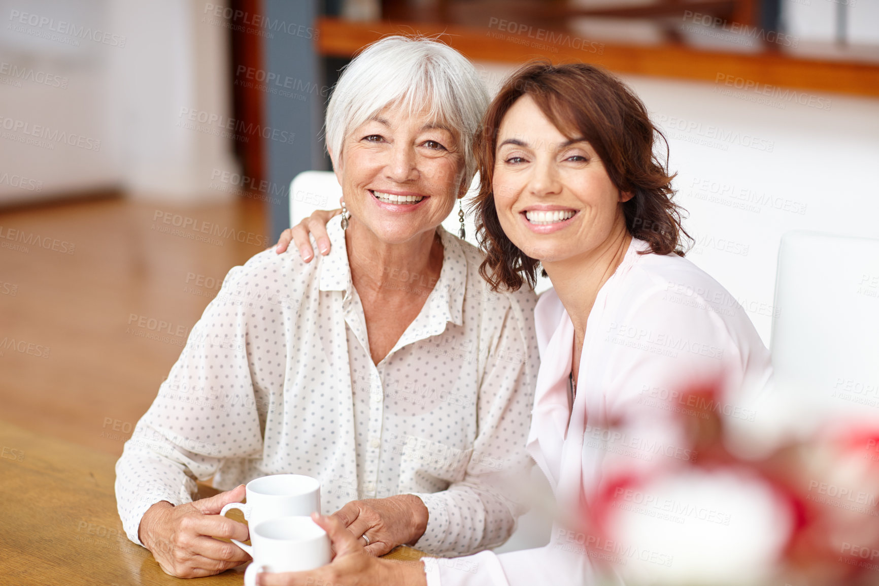 Buy stock photo Shot of a woman spending time with her elderly mother