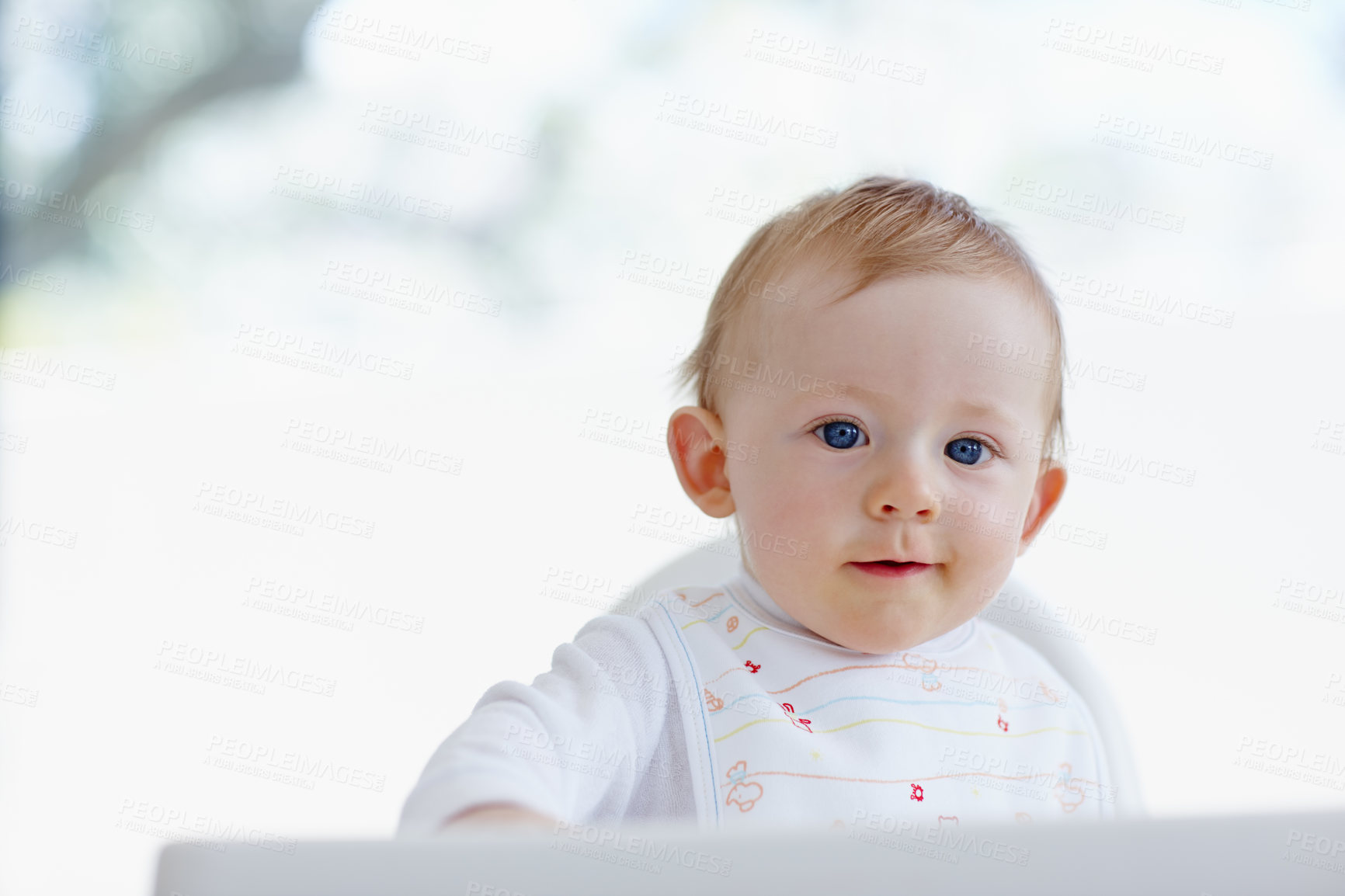 Buy stock photo A cute baby boy looking at the camera