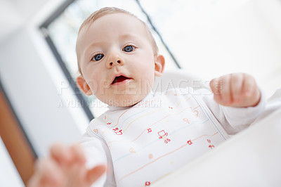 Buy stock photo Low angle view of a cute baby boy trying to touch the camera