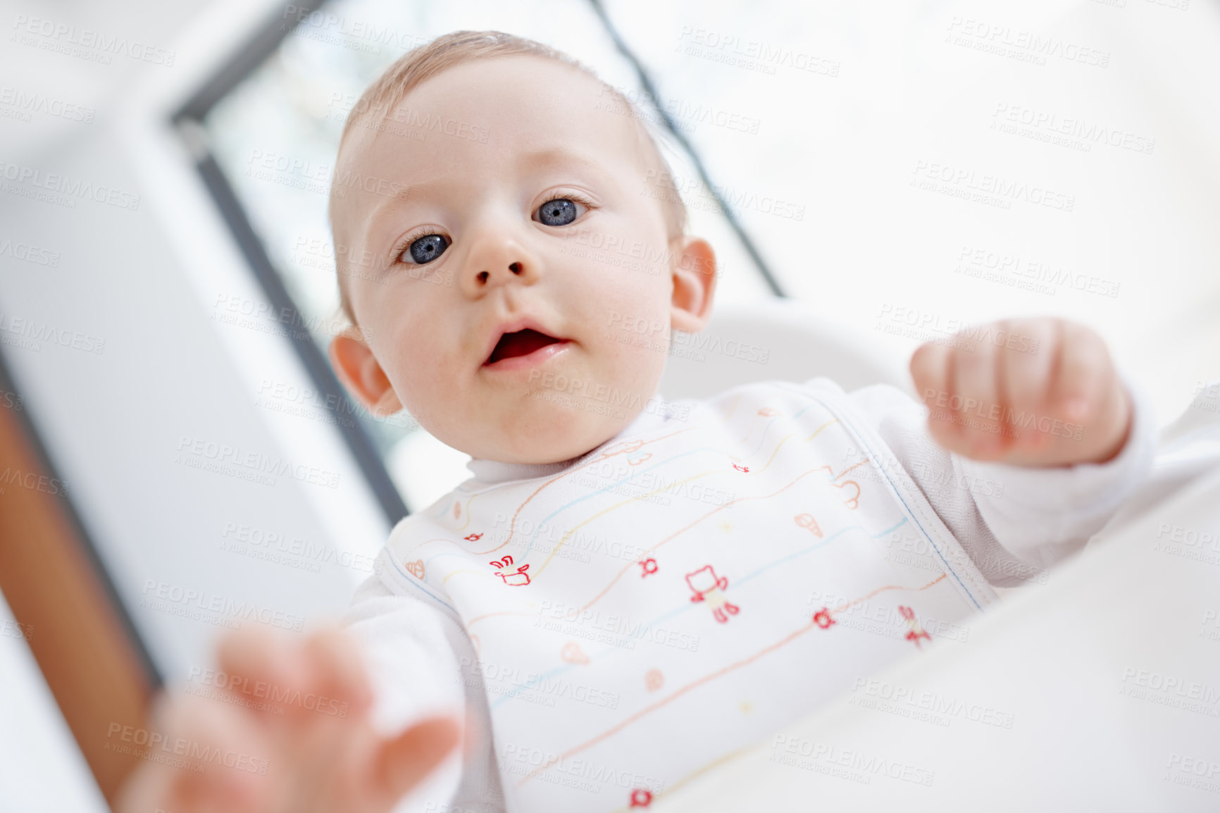 Buy stock photo Portrait, baby and curious to explore at house for sensory development, discovery play and child growth. Below, kid and touch for motor skills, coordination and feeding time with wellness progress