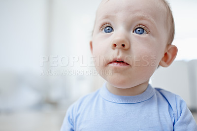 Buy stock photo A curious baby boy looking up