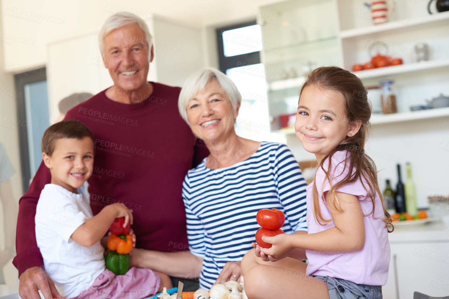 Buy stock photo Portrait of grandparents preparing dinner with their grandchildren in a kitchen