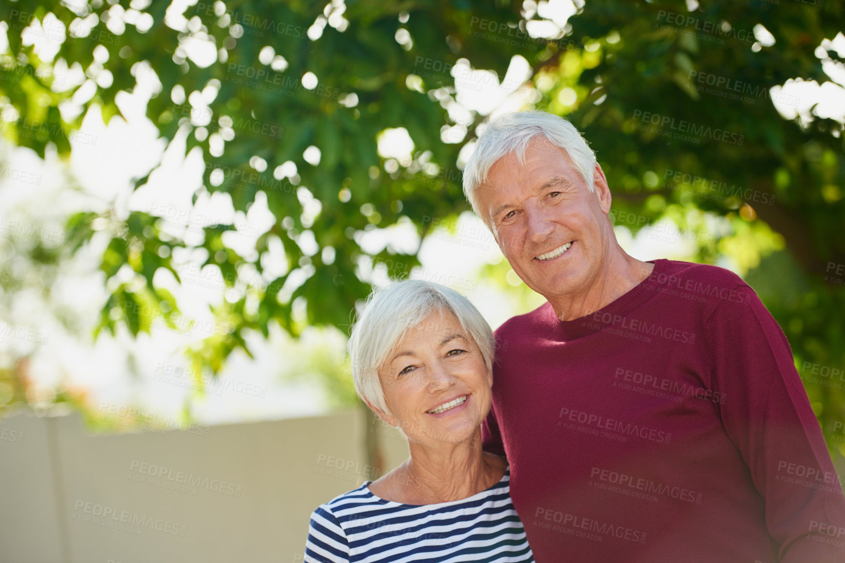 Buy stock photo Cropped portrait of an affectionate senior couple outdoors