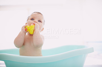 Buy stock photo An adorable baby girl enjoying her bath while playing with a rubber duck