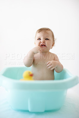 Buy stock photo Playful kid enjoying bath time with rubber duck while washing body for healthy clean hygiene. One cute little baby girl sucking her fingers while sitting in a bathtub against white background at home