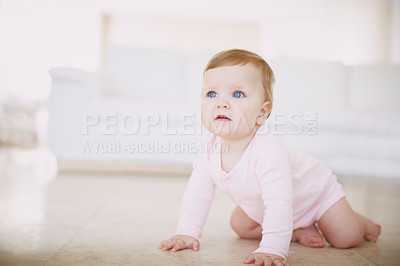 Buy stock photo One adorable cute little baby girl in pink bodysuit crawling on the floor in the lounge at home. Curious little playful kid exploring while learning to walk for healthy childhood development