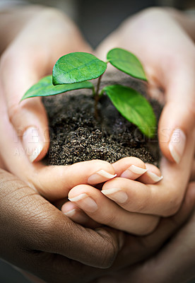 Buy stock photo Hands, soil and people with plant for earth day, future or eco business, funding or support closeup. Recycle, sustainability or volunteer group with leaf growth for agriculture, climate change or ngo