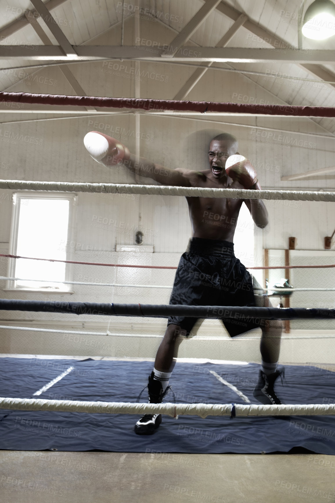 Buy stock photo Full length of African American male boxer in action