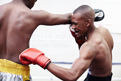 Buy stock photo Two African American muscular men boxing in ring