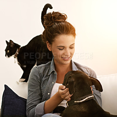Buy stock photo Woman, dog and cat on sofa for animal, pet and together indoor for bonding, affection and friendship. Puppy, lady or owner for laugh and hug with love and scratch for adorable, cute and companion