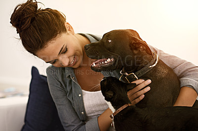 Buy stock photo Woman, happy dog and cat together on sofa or animals, smiling owner and physical affection, love and hugs. Girl, canine and feline pets and building quality relationship with care, play or hug