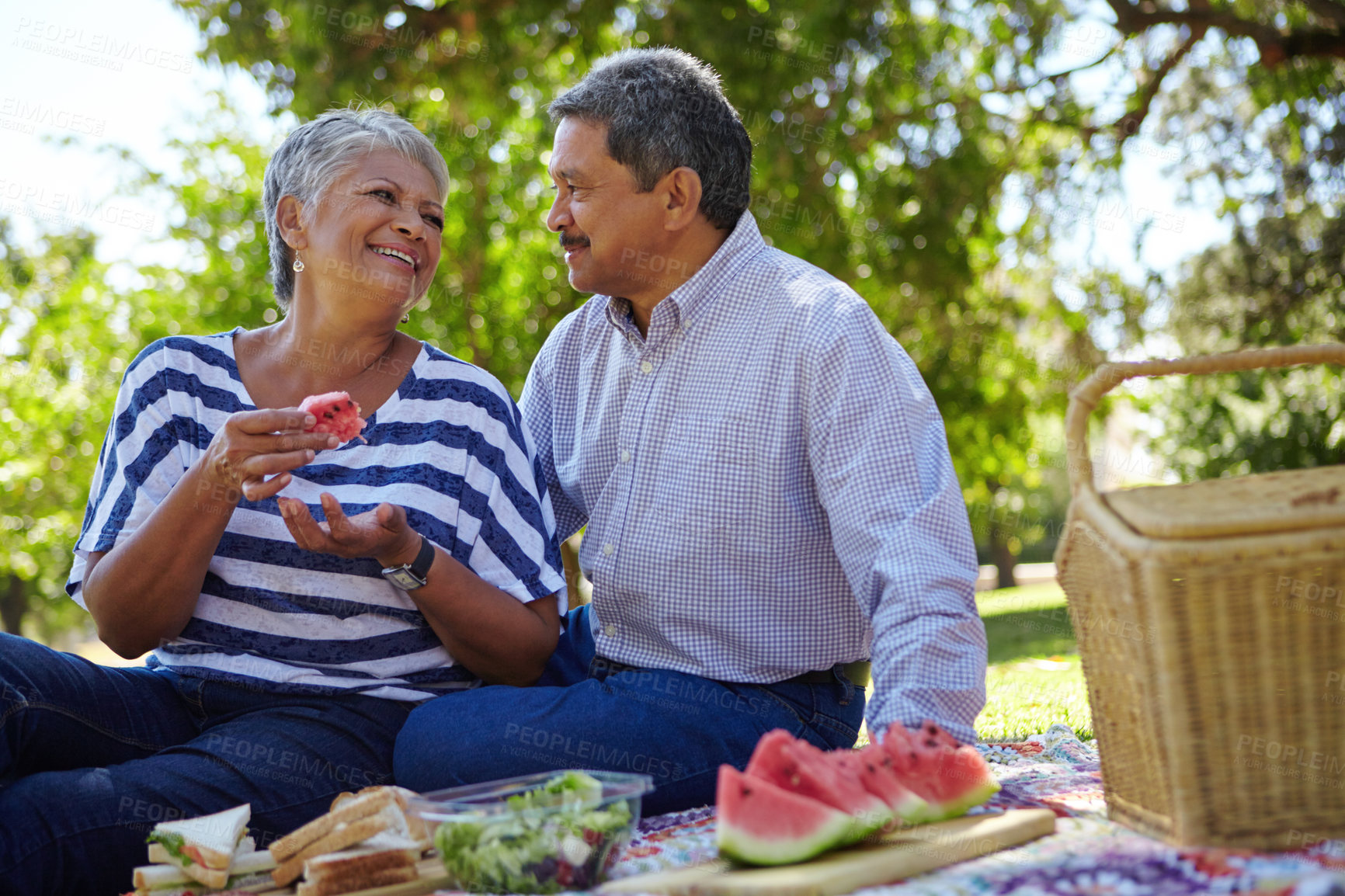 Buy stock photo Shot of a loving senior couple enjoying a leisurely picnic in the park