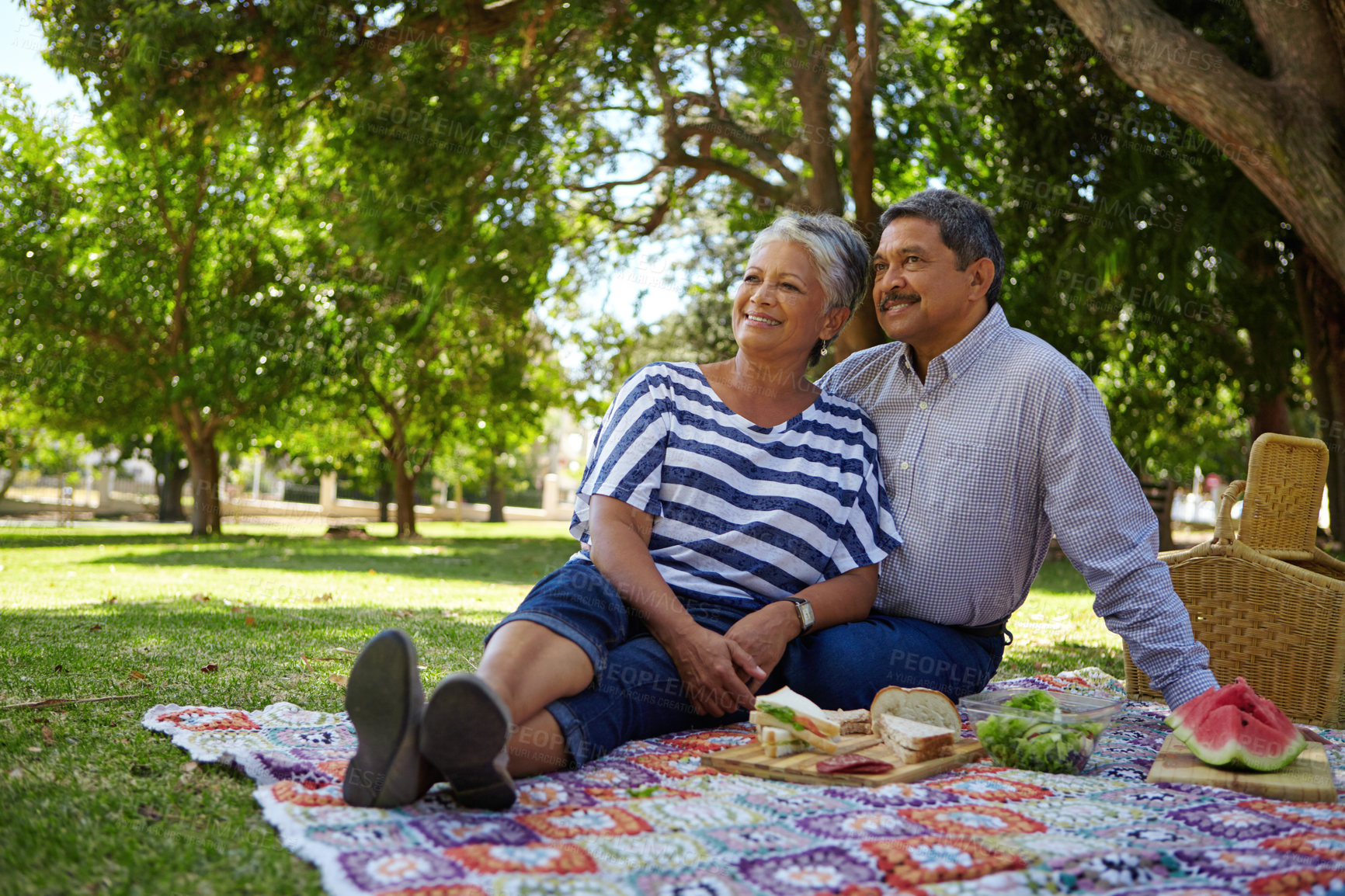 Buy stock photo Shot of a loving senior couple enjoying a leisurely picnic in the park