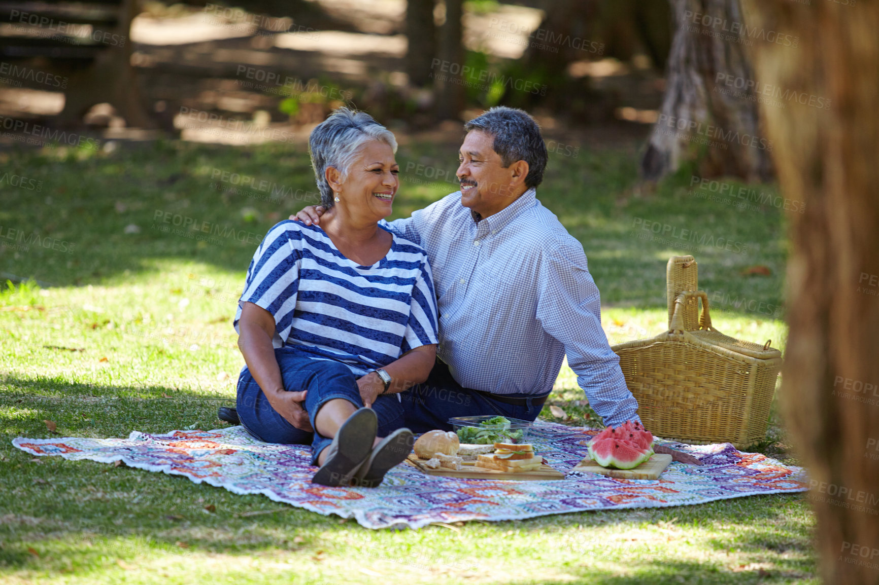 Buy stock photo Shot of a loving senior couple enjoying a leisurely picnic in the park