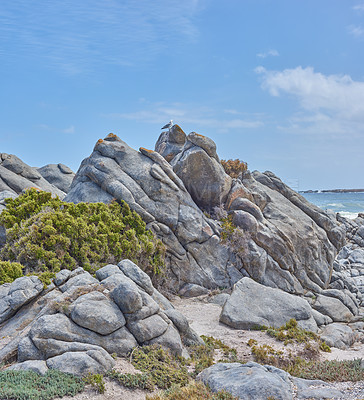 Buy stock photo Rocks, ocean and blue sky at beach for summer, water and sand or plants with sunshine. Environment, landscape and waves or outdoor for travel, tourism and adventure in nature for holiday or vacation 