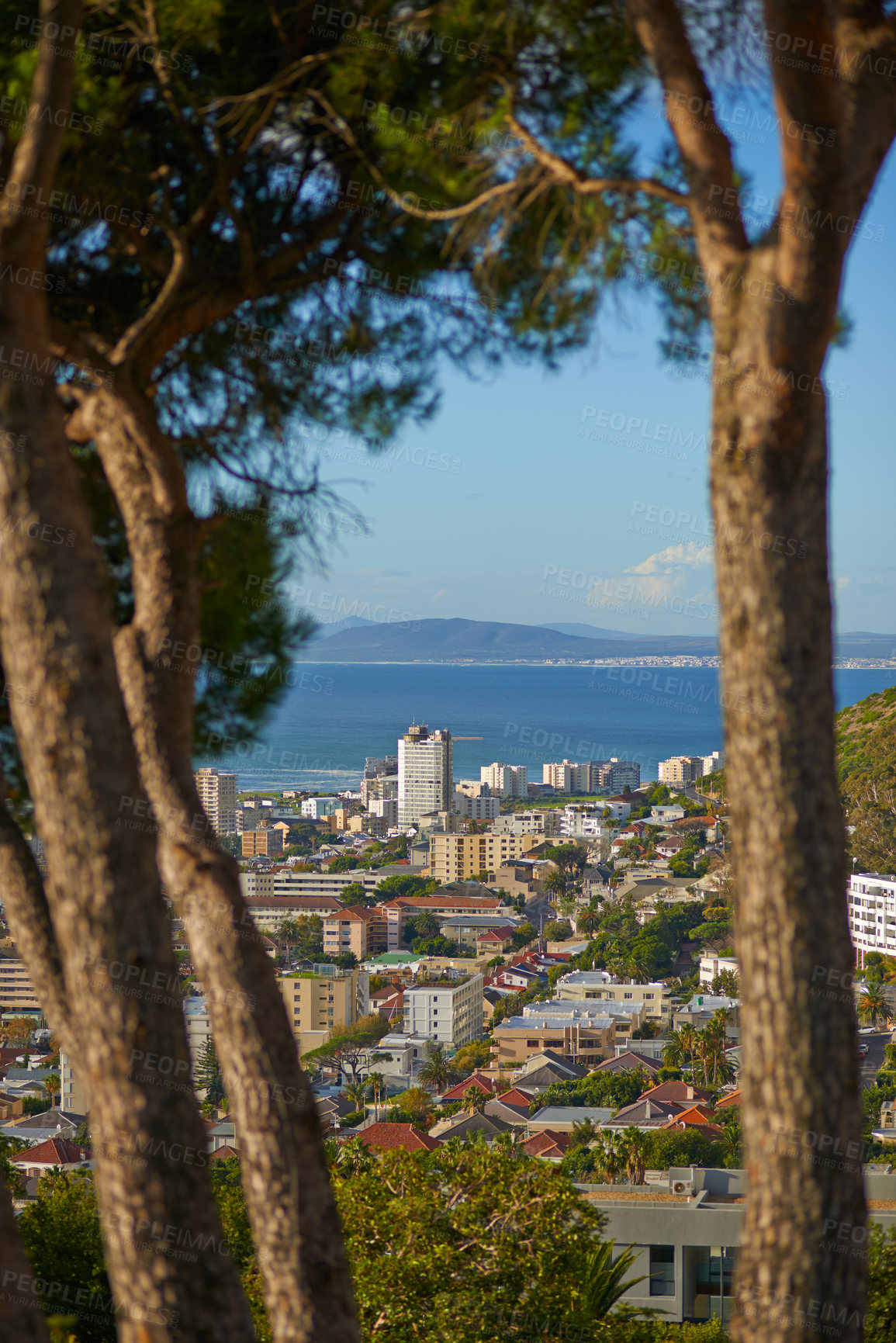 Buy stock photo City, trees and landscape with architecture outdoor, mountain and ocean in California. Cityscape, buildings and infrastructure of urban town with sea water, houses or apartment for travel on vacation