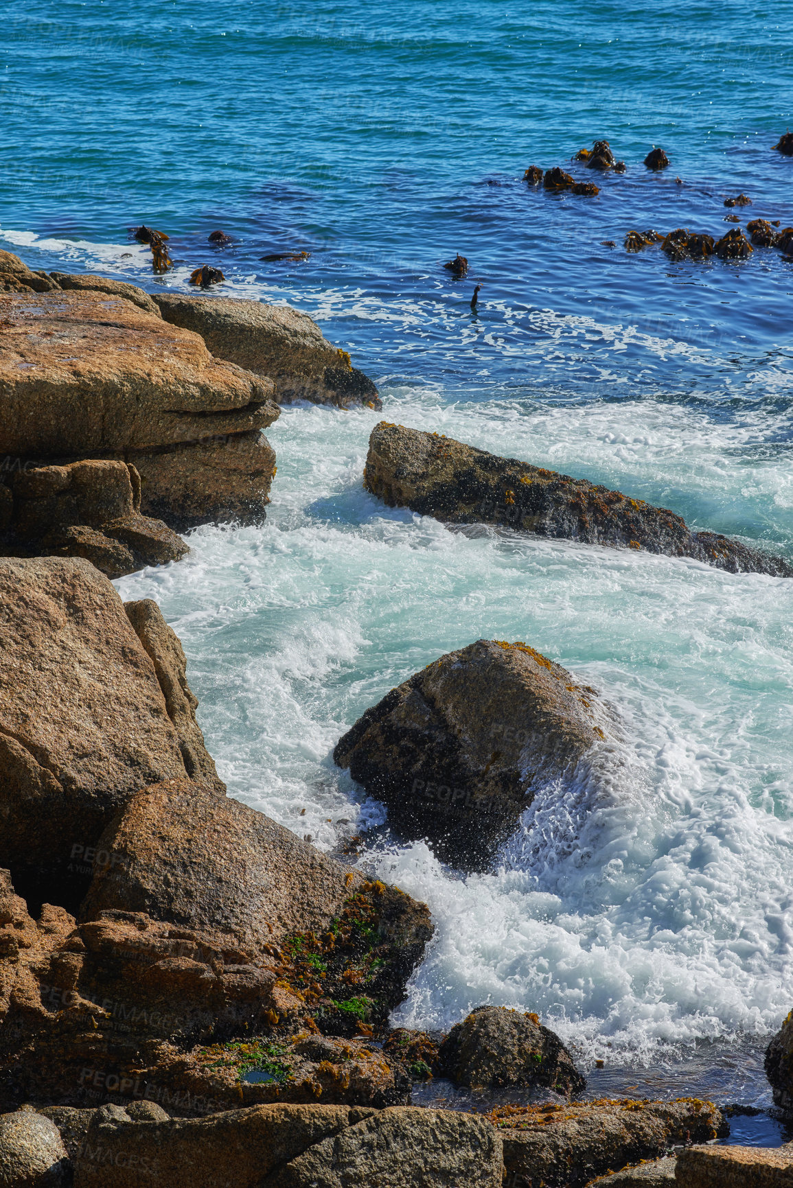 Buy stock photo Rocks, waves and seaweed at beach for summer, water and sand or plants with sunshine. Environment, landscape and ocean or outdoor for travel, tourism and adventure in nature for holiday or vacation 