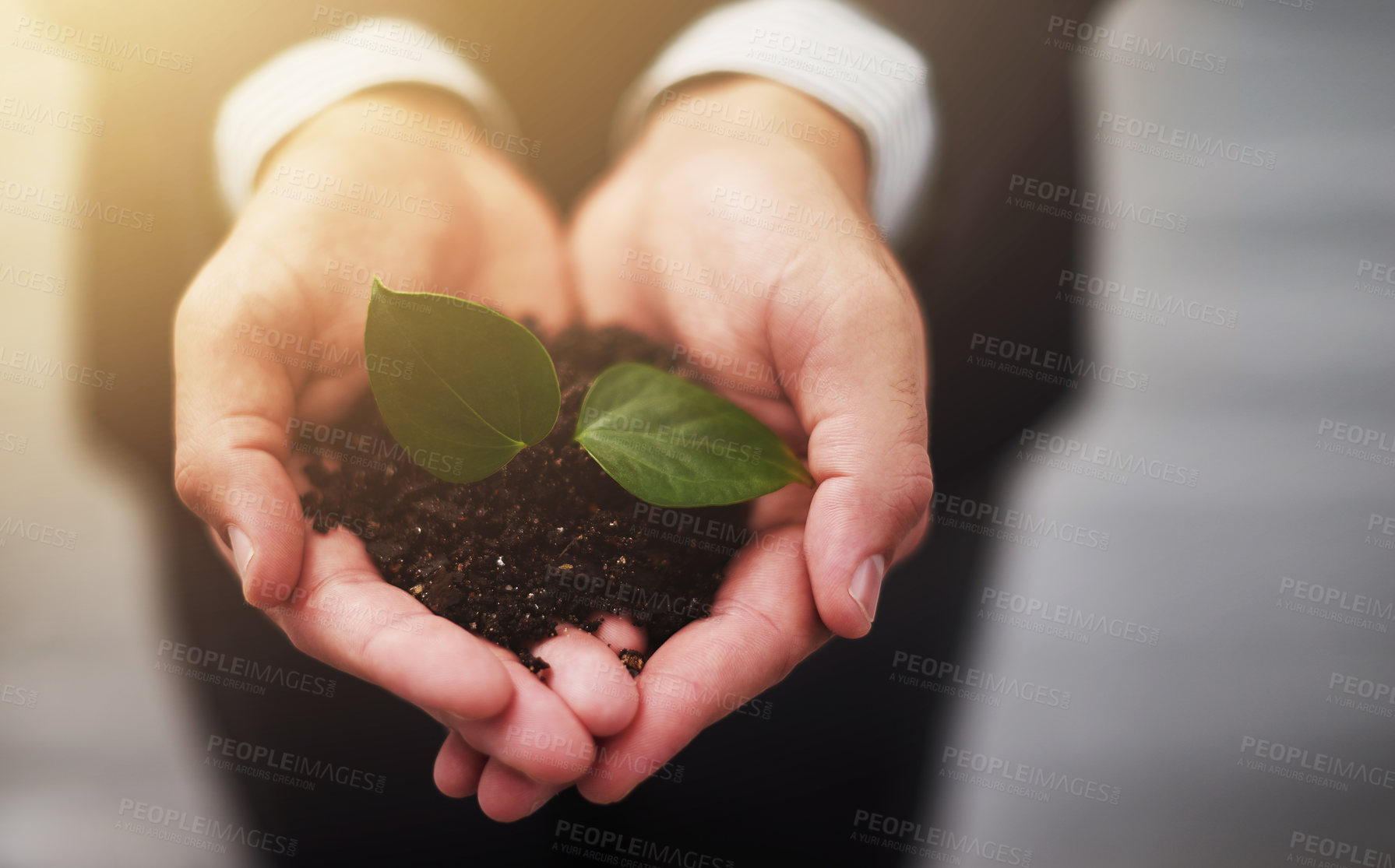 Buy stock photo Cropped shot of a businessman holding a plant growing in soil