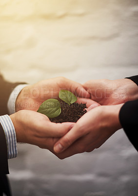 Buy stock photo Business people, hands and plant for startup growth or sustainable company, teamwork or synergy. Colleagues, fingers and leaves in soil for career future or workplace earth day, environment or eco