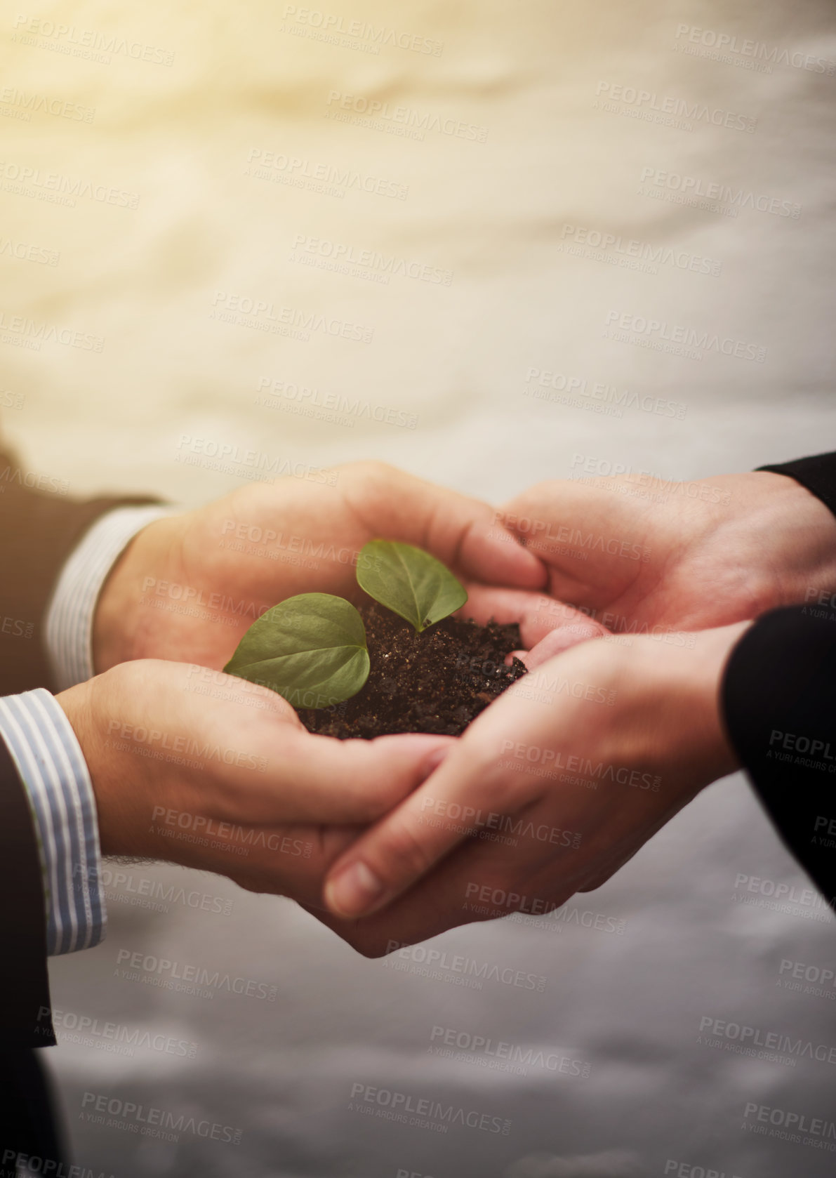Buy stock photo Business people, hands and plant for startup growth or sustainable company, teamwork or synergy. Colleagues, fingers and leaves in soil for career future or workplace earth day, environment or eco