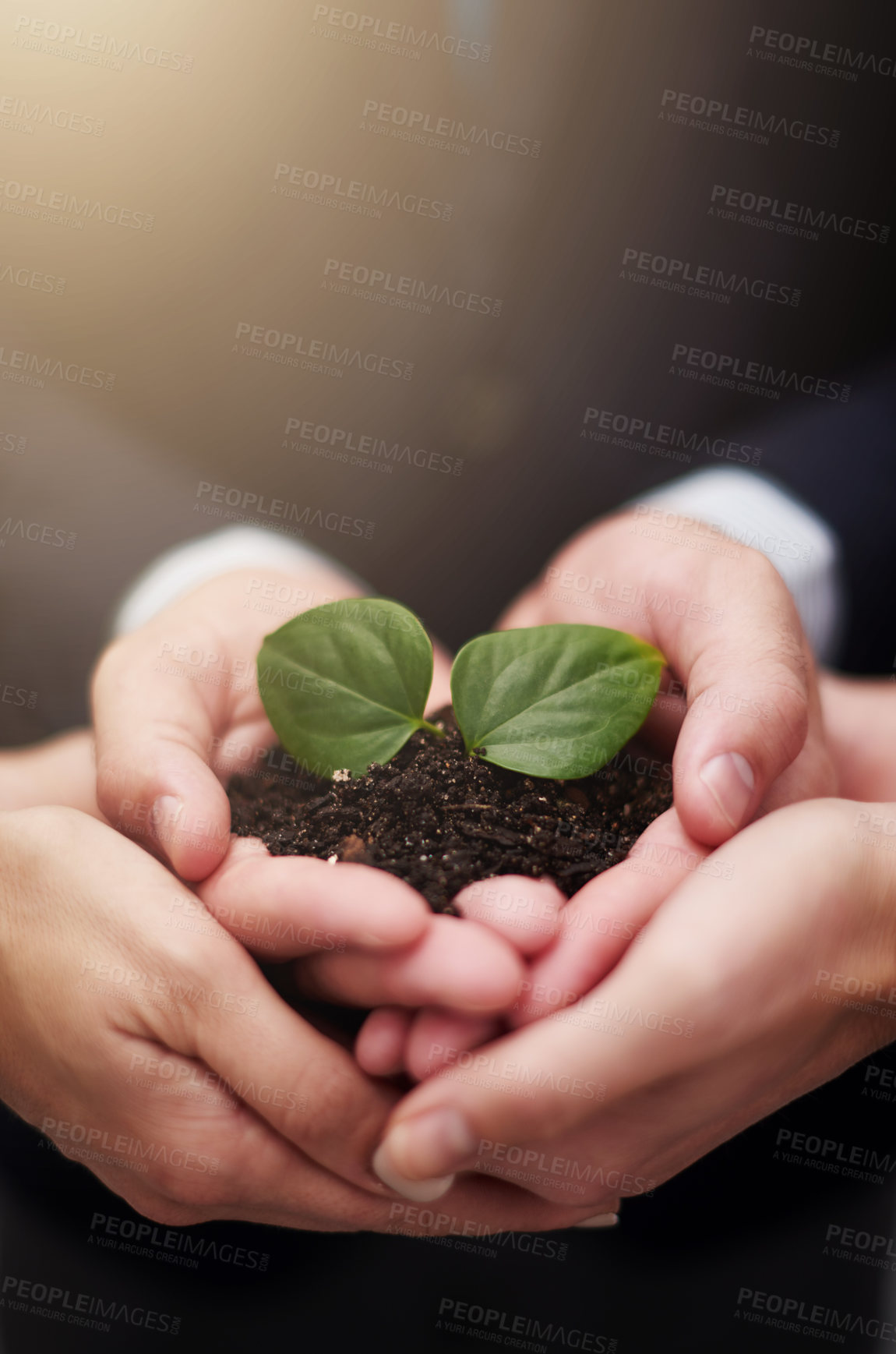 Buy stock photo Business people, hands and plant for sustainability growth or eco future, teamwork or synergy. Colleagues, fingers and leaves in soil for sprout startup or workplace, environment or climate change