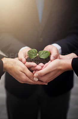Buy stock photo Business people, hands and plant for company sustainability, teamwork or synergy. Colleagues, fingers and leaves in soil for startup growth for eco future or workplace, environment or climate change