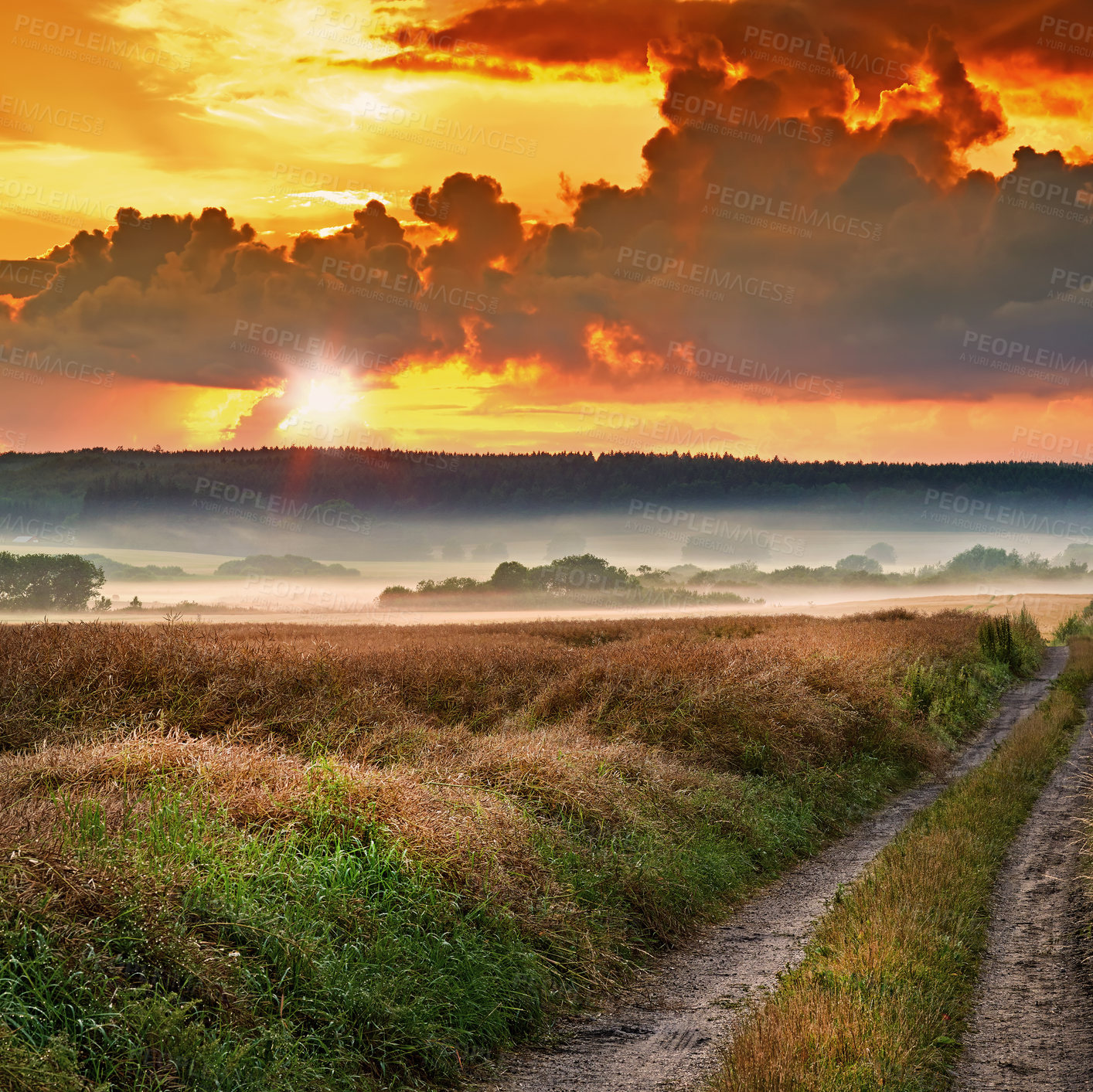 Buy stock photo Morning, mist and countryside sunrise in nature, surreal landscape and sky background with clouds. Travellers path, valleys and lush vegetation for peaceful environment, growth and calm outdoor